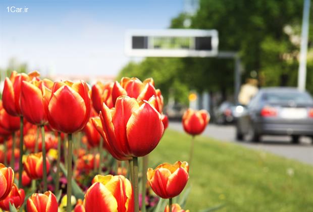 نوروزتان پر از مهربانی و شادی باد